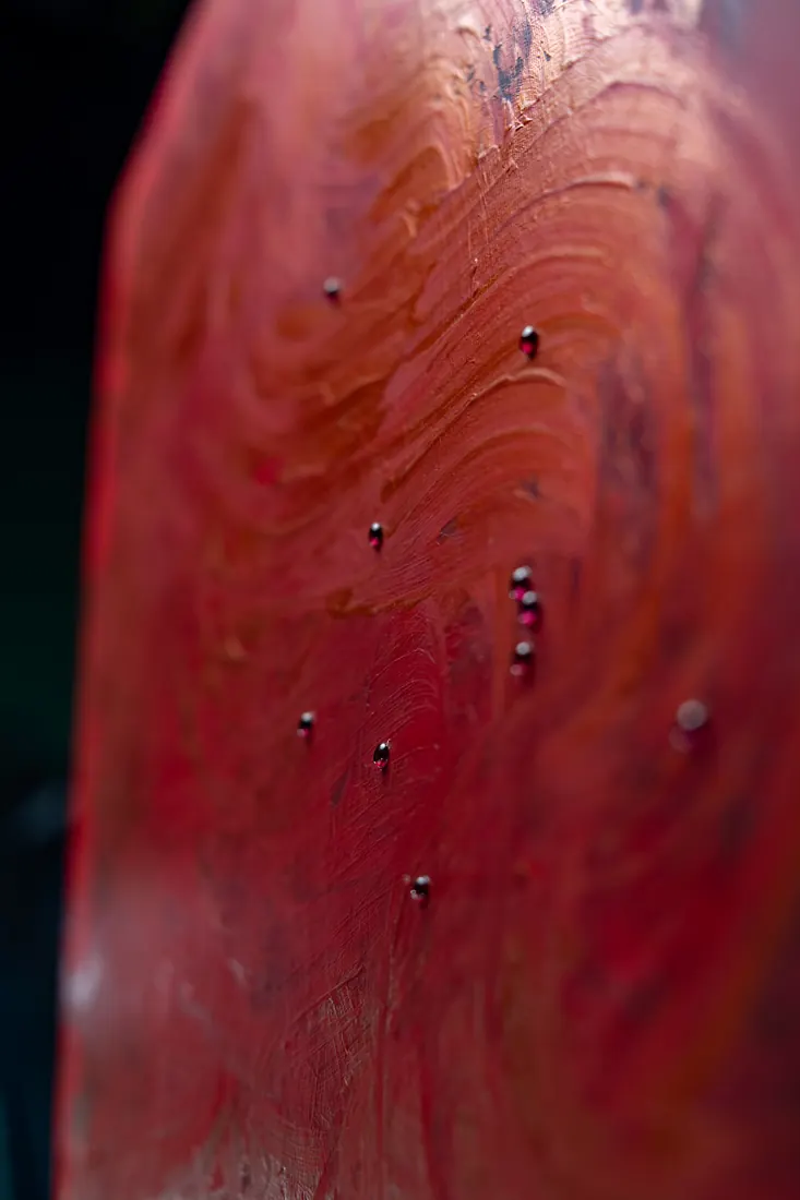 The Shape of Heat · Photograph 3