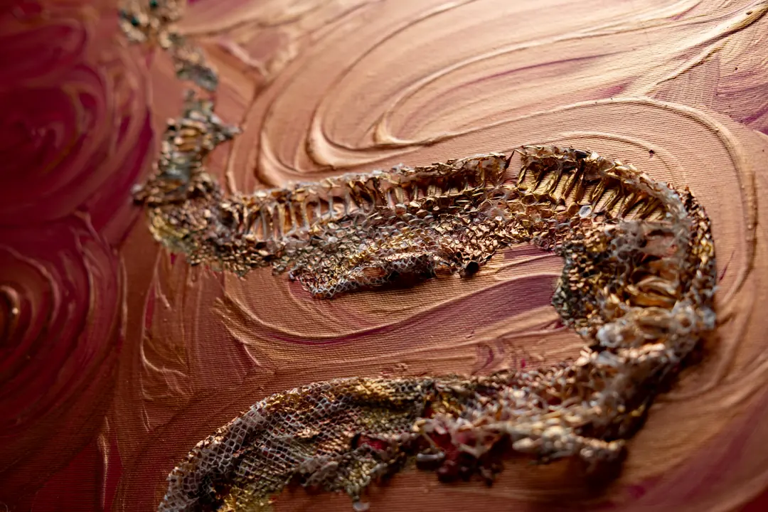 Ecdysis · Photograph 4