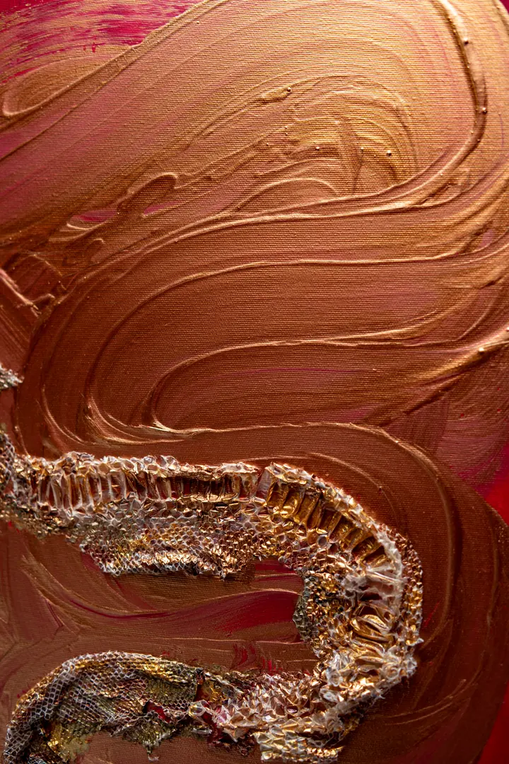 Ecdysis · Photograph 7