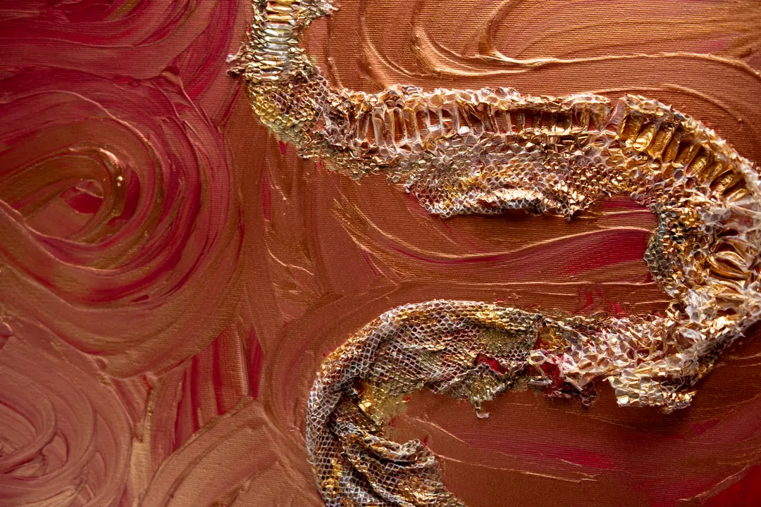 Ecdysis · Photograph 9